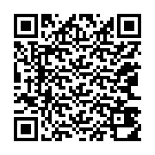 QR-код для номера телефона +12063410938