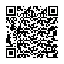 QR-код для номера телефона +12063500480