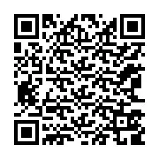 QR-code voor telefoonnummer +12063509091