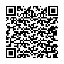 QR-код для номера телефона +12063509096