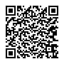 QR-код для номера телефона +12063665832