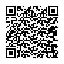 QR-код для номера телефона +12063665833