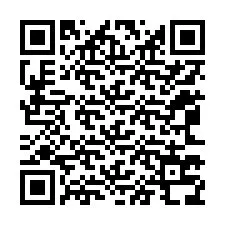 Codice QR per il numero di telefono +12063738410