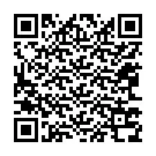 Codice QR per il numero di telefono +12063738413