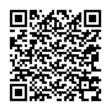 QR код за телефонен номер +12063738414