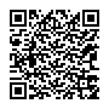 QR код за телефонен номер +12063755801