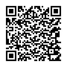 Codice QR per il numero di telefono +12065011140