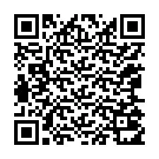 QR-koodi puhelinnumerolle +12065011188