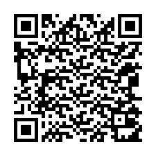 Código QR para número de teléfono +12065011190