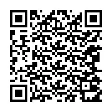 QR kód a telefonszámhoz +12065011192