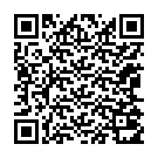 Código QR para número de teléfono +12065011195