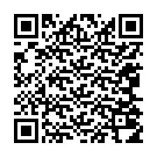 QR-код для номера телефона +12065014332