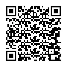 QR-koodi puhelinnumerolle +12065020525