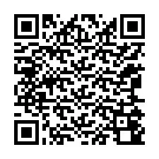 QR kód a telefonszámhoz +12065040084