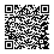 QR-код для номера телефона +12065047738