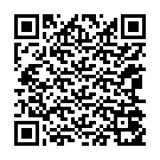 QR-код для номера телефона +12065051890