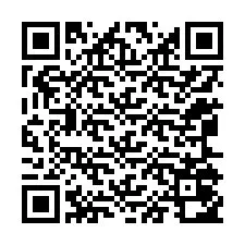 QR-code voor telefoonnummer +12065052914