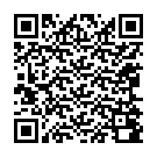 QR-code voor telefoonnummer +12065080216