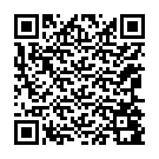 Codice QR per il numero di telefono +12065081711