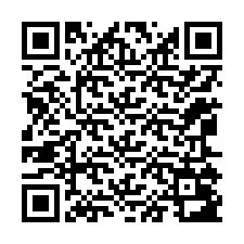 QR-code voor telefoonnummer +12065083451