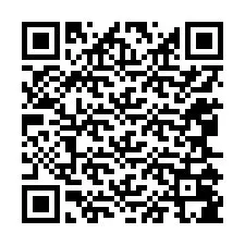 QR-код для номера телефона +12065085072