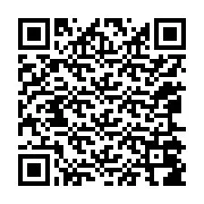 Código QR para número de telefone +12065086848