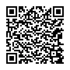 Código QR para número de telefone +12065087015