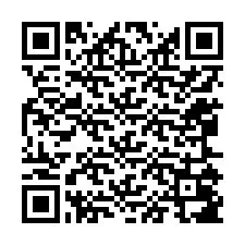 QR-код для номера телефона +12065087016