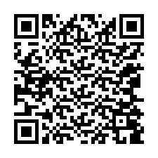 Codice QR per il numero di telefono +12065089338