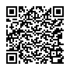 Kod QR dla numeru telefonu +12065100848