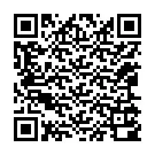 Código QR para número de teléfono +12065100849