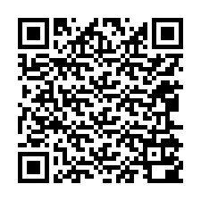 Codice QR per il numero di telefono +12065100852