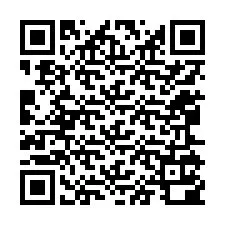 QR-koodi puhelinnumerolle +12065100856