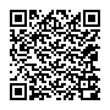 QR код за телефонен номер +12065100859