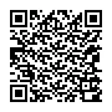 Código QR para número de teléfono +12065100860