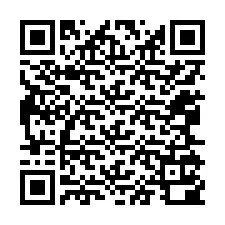 QR код за телефонен номер +12065100863