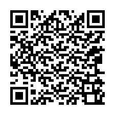 QR Code for Phone number +12065160018
