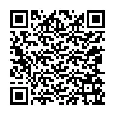 Codice QR per il numero di telefono +12065165598