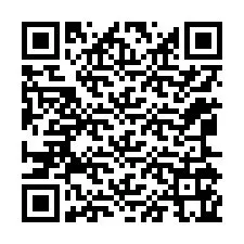 QR код за телефонен номер +12065165841