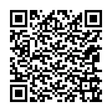 Código QR para número de teléfono +12065165845