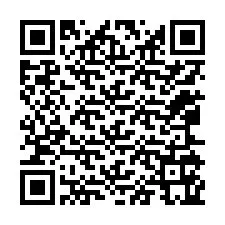 Código QR para número de telefone +12065165849