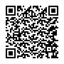 QR kód a telefonszámhoz +12065166798