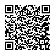 QR Code for Phone number +12065169728