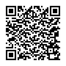 QR kód a telefonszámhoz +12065170744