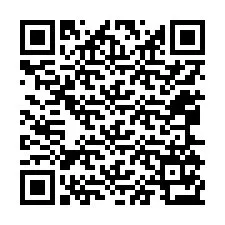 QR Code for Phone number +12065173643