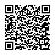 Kode QR untuk nomor Telepon +12065173913