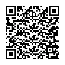 Kode QR untuk nomor Telepon +12065173916