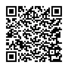 Kode QR untuk nomor Telepon +12065173918