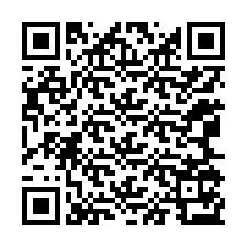 QR-код для номера телефона +12065173920