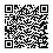 QR-код для номера телефона +12065173921